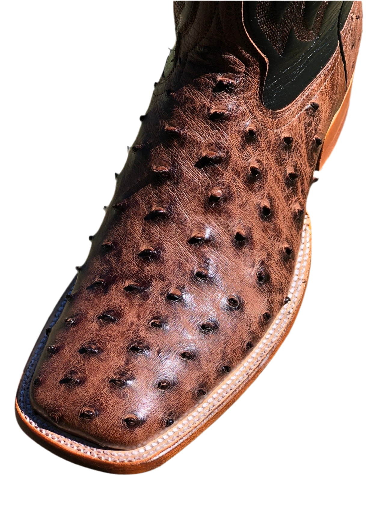 Brown ( cc ) ostrich Boltsboots signature