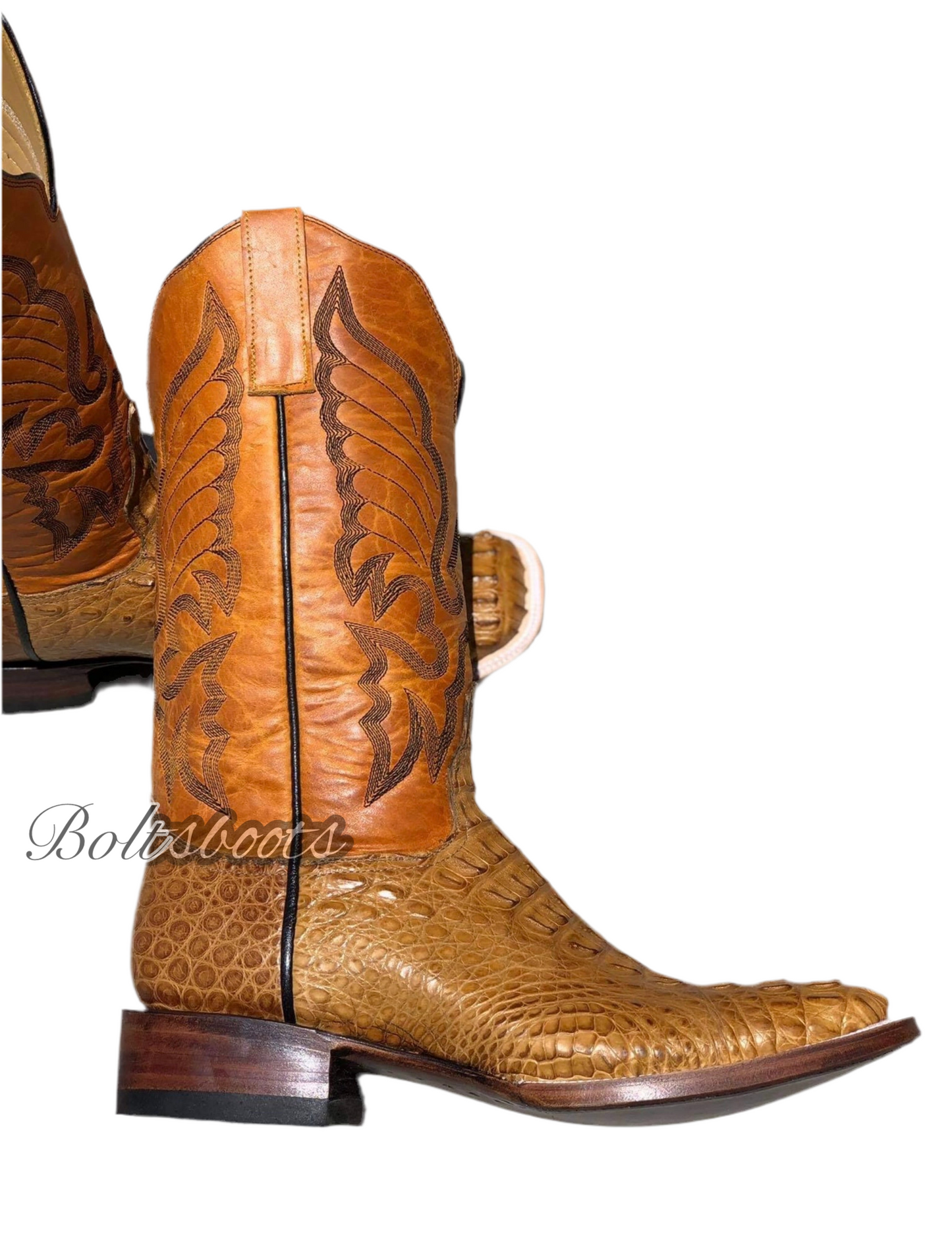 Umber caiman back (( Boltsboots signature))