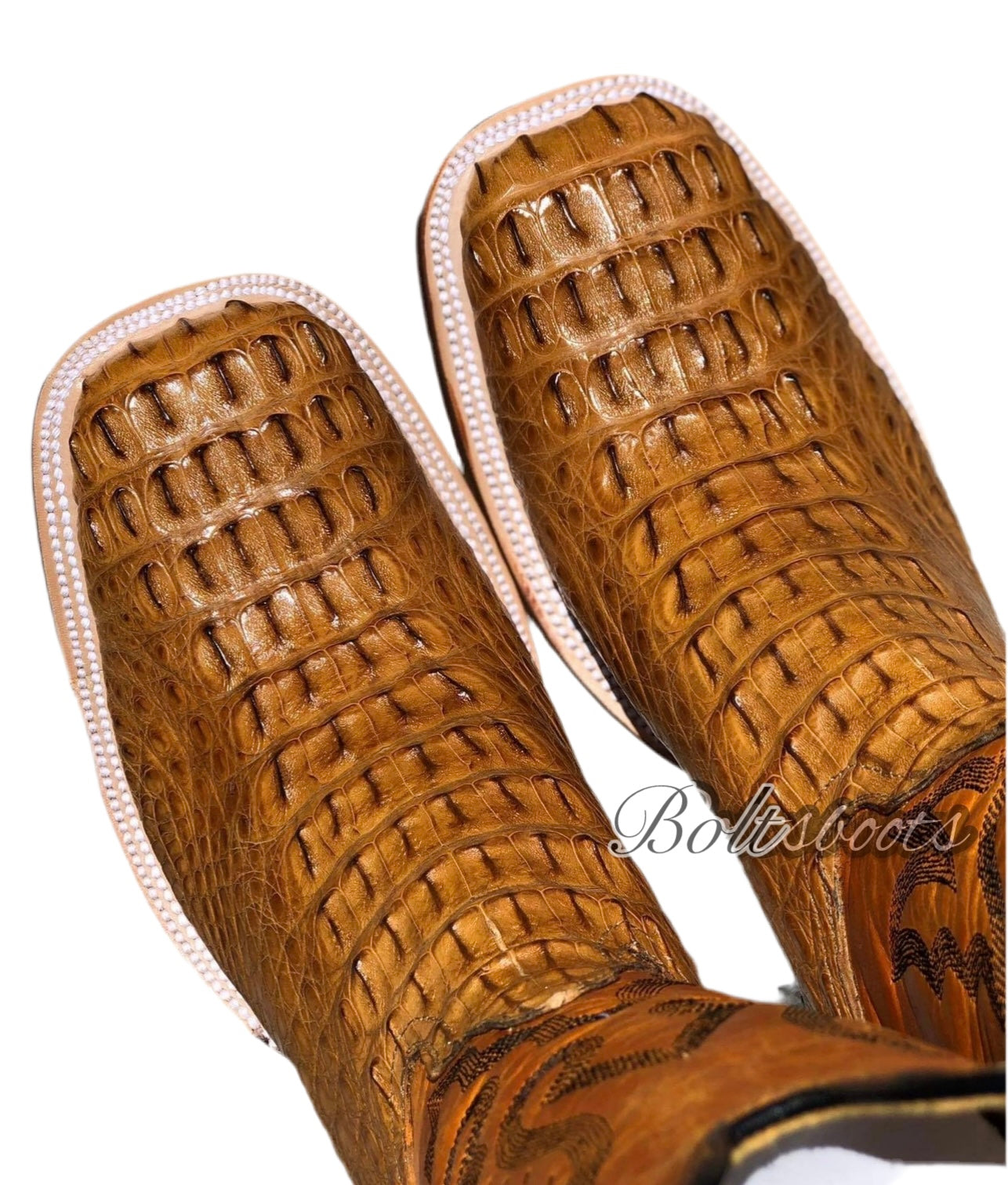 Umber caiman back (( Boltsboots signature))