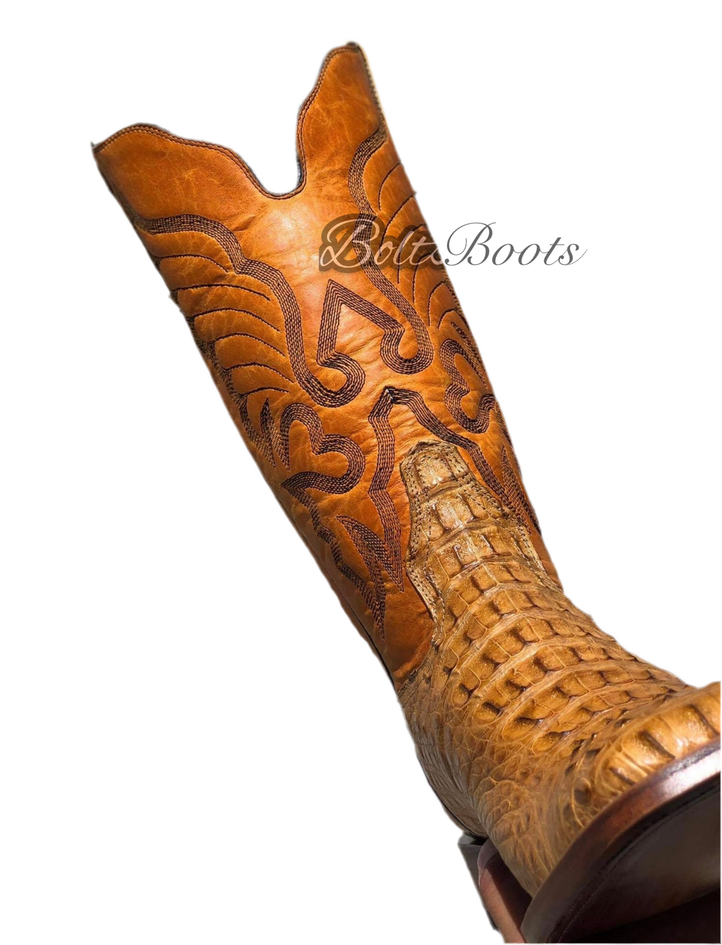 Umber caiman back (( Boltsboots signature))