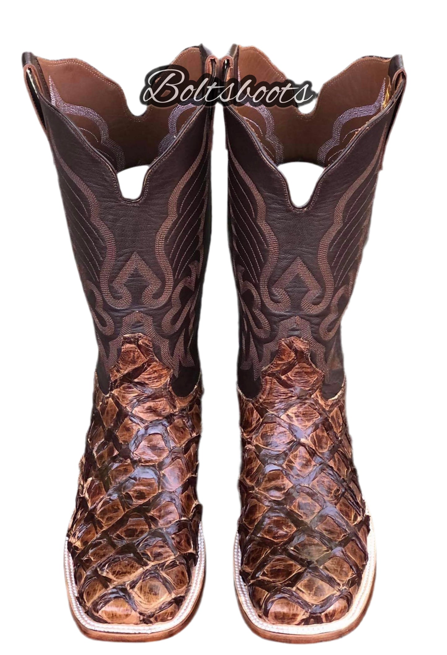 ShineBrown Pirarucu (Boltsboots edition )