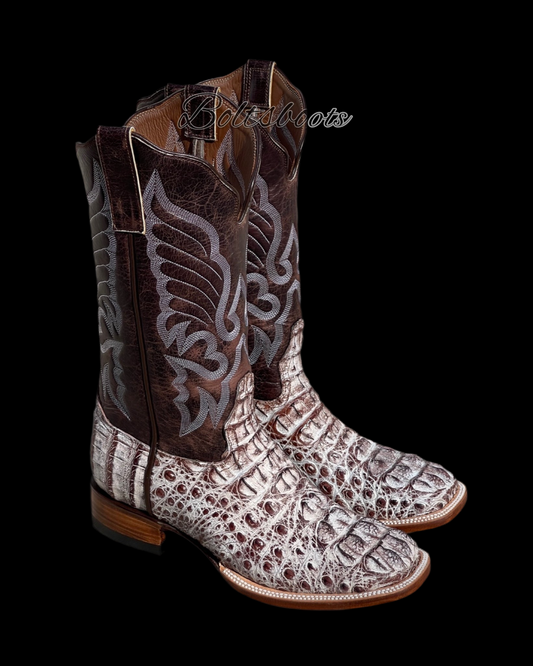 W.P caiman hornback by Boltsbootsbrand