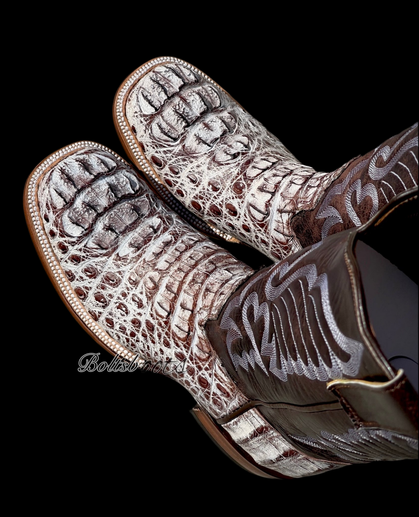 W.P caiman hornback by Boltsbootsbrand