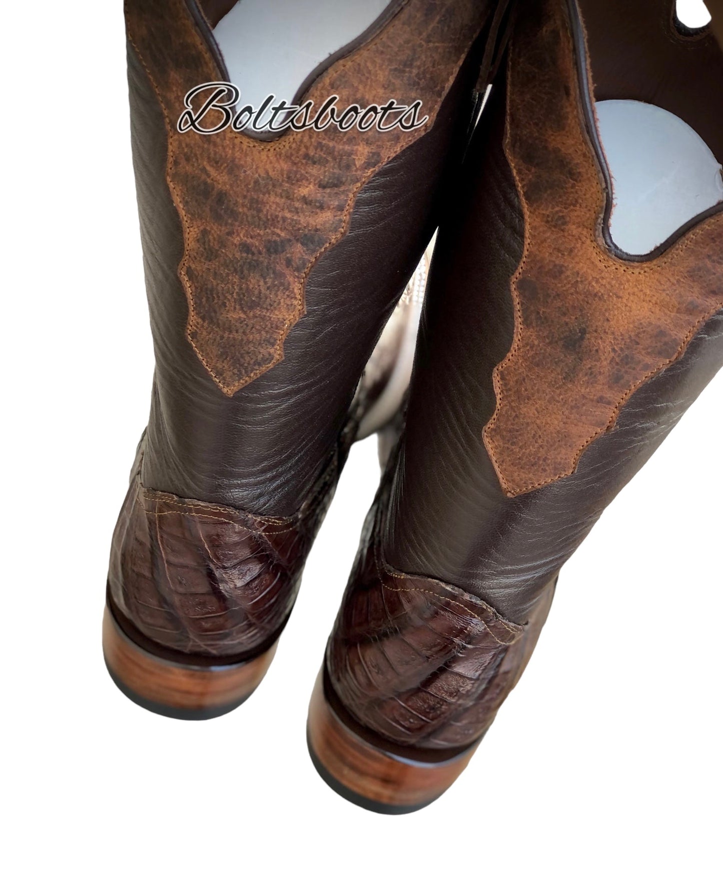 Montana Brown caimán by Boltsbootsbrand