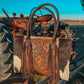 Clementine by Beth Marie